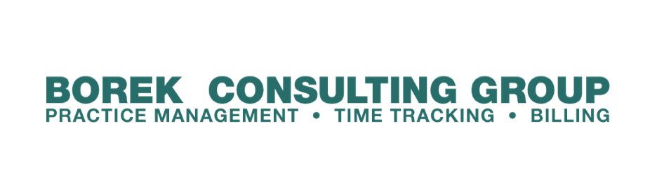 Borek Consulting Group logo