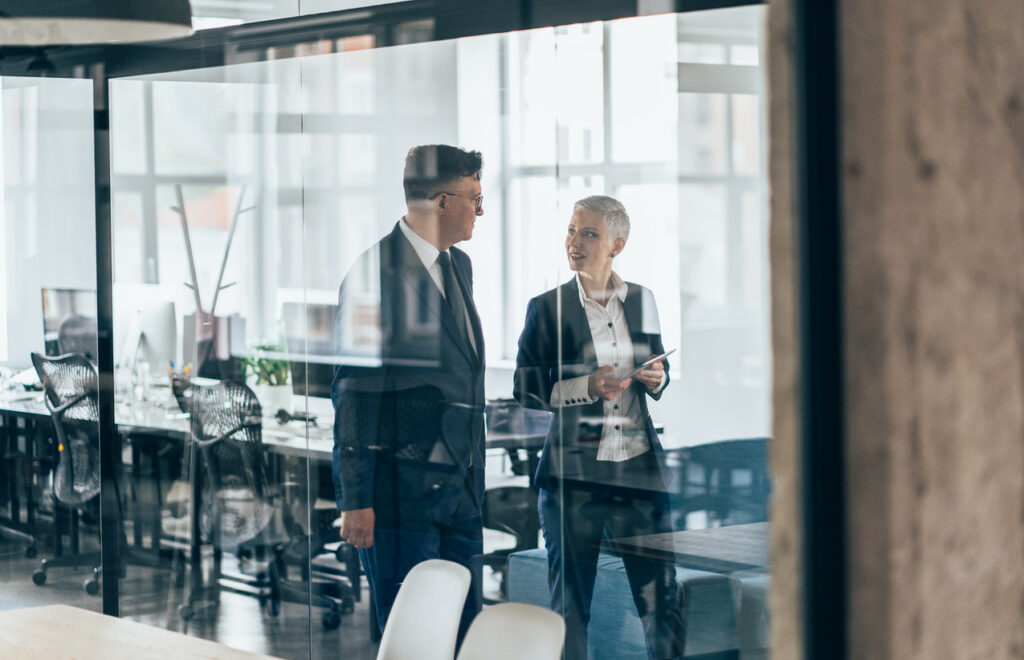 Litigation attorneys